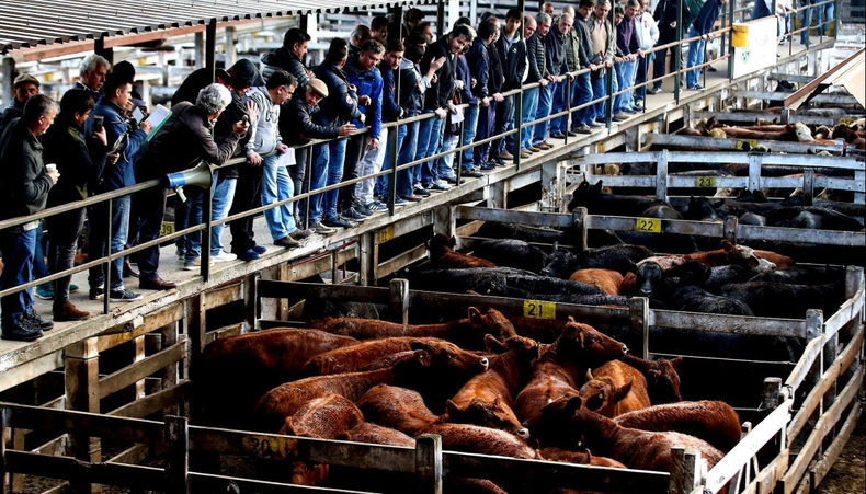 Los precios de la carne se disparan y empujan la inflación de noviembre. 